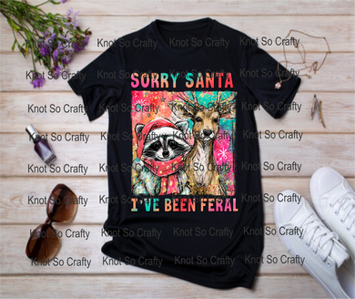 12404- sorry santa ive been a little feral